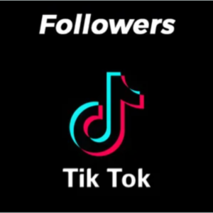 TikTok Views